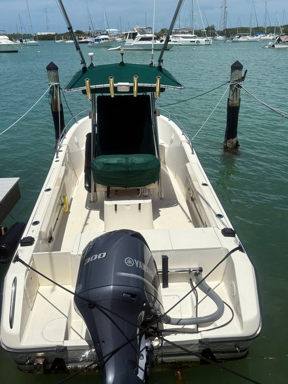 Small motorboat docked stern-first at a marina, with an outboard engine and green seating canopy.