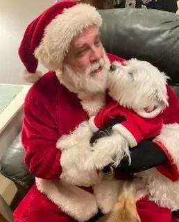 Santa in red suit holding a small white dog on a couch