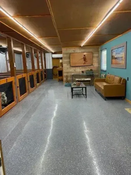 Modern waiting room with blue walls, tan sofa, glass coffee table, and wood-paneled ceiling lights