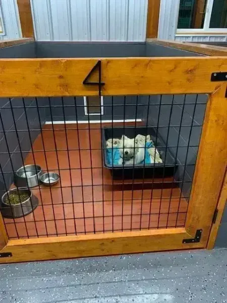 Kennel stall labeled 4 with metal gate, food bowls, and a tray of folded towels or blankets.