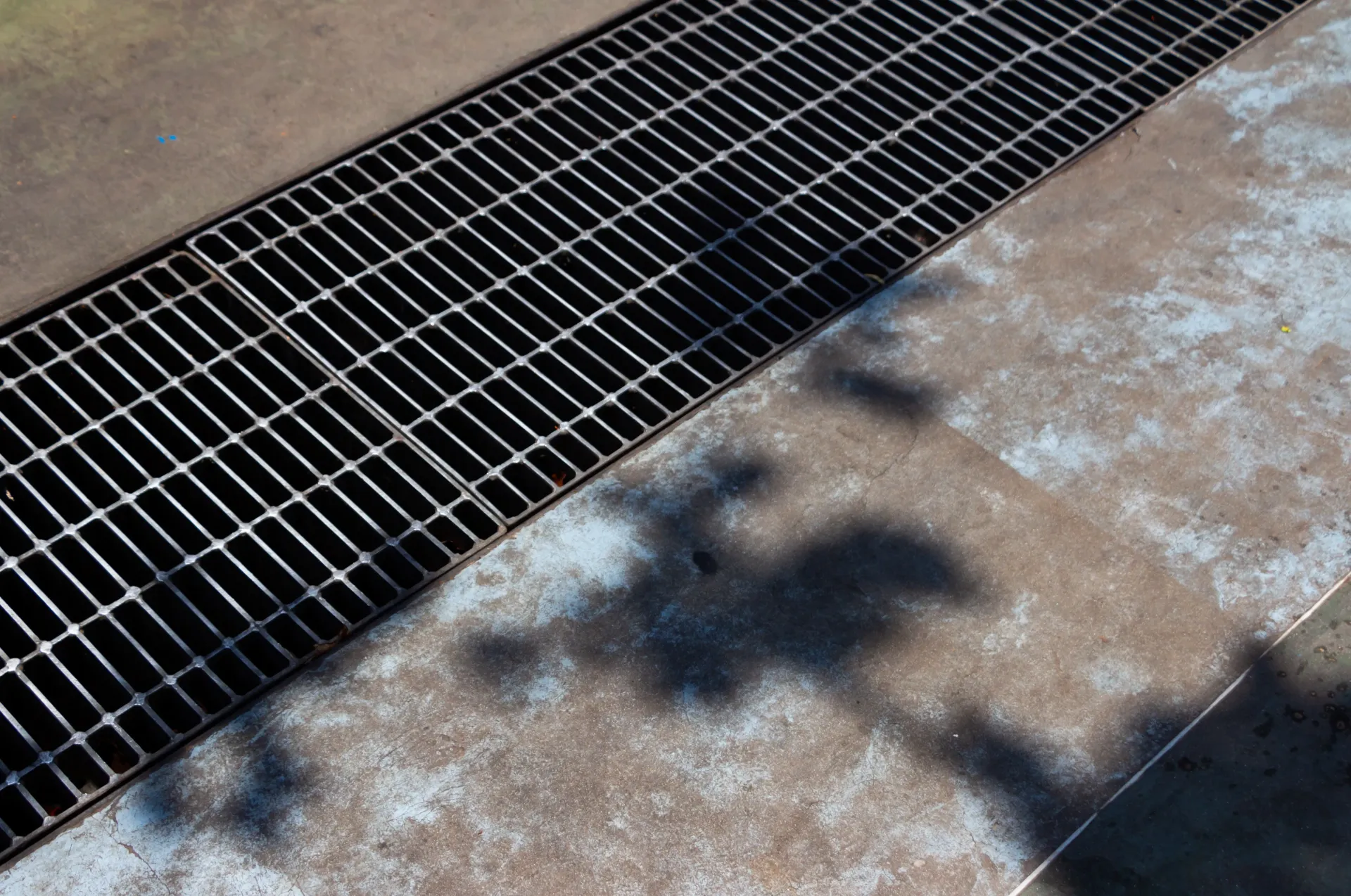 Concrete sidewalk beside a metal drain grate, with tree shadows cast across the pavement.