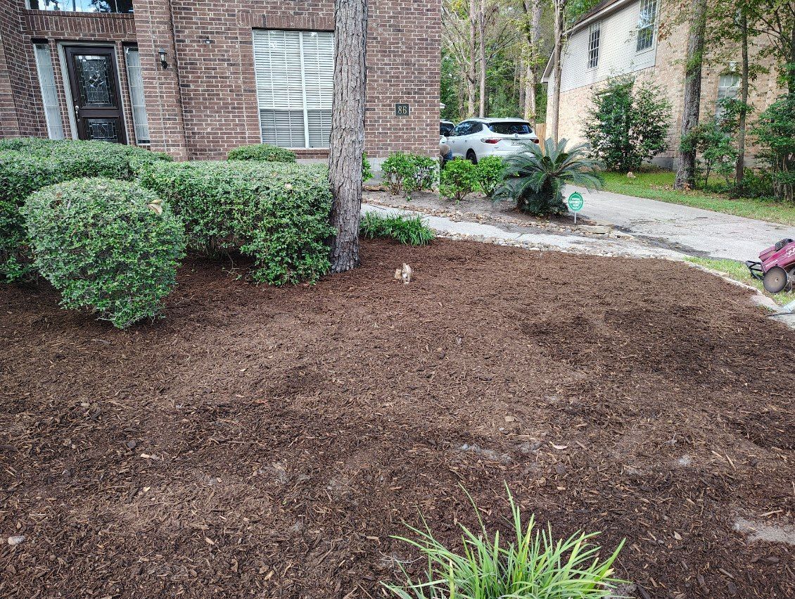 Freshly mulched front yard with shrubs beside a brick townhouse and driveway path