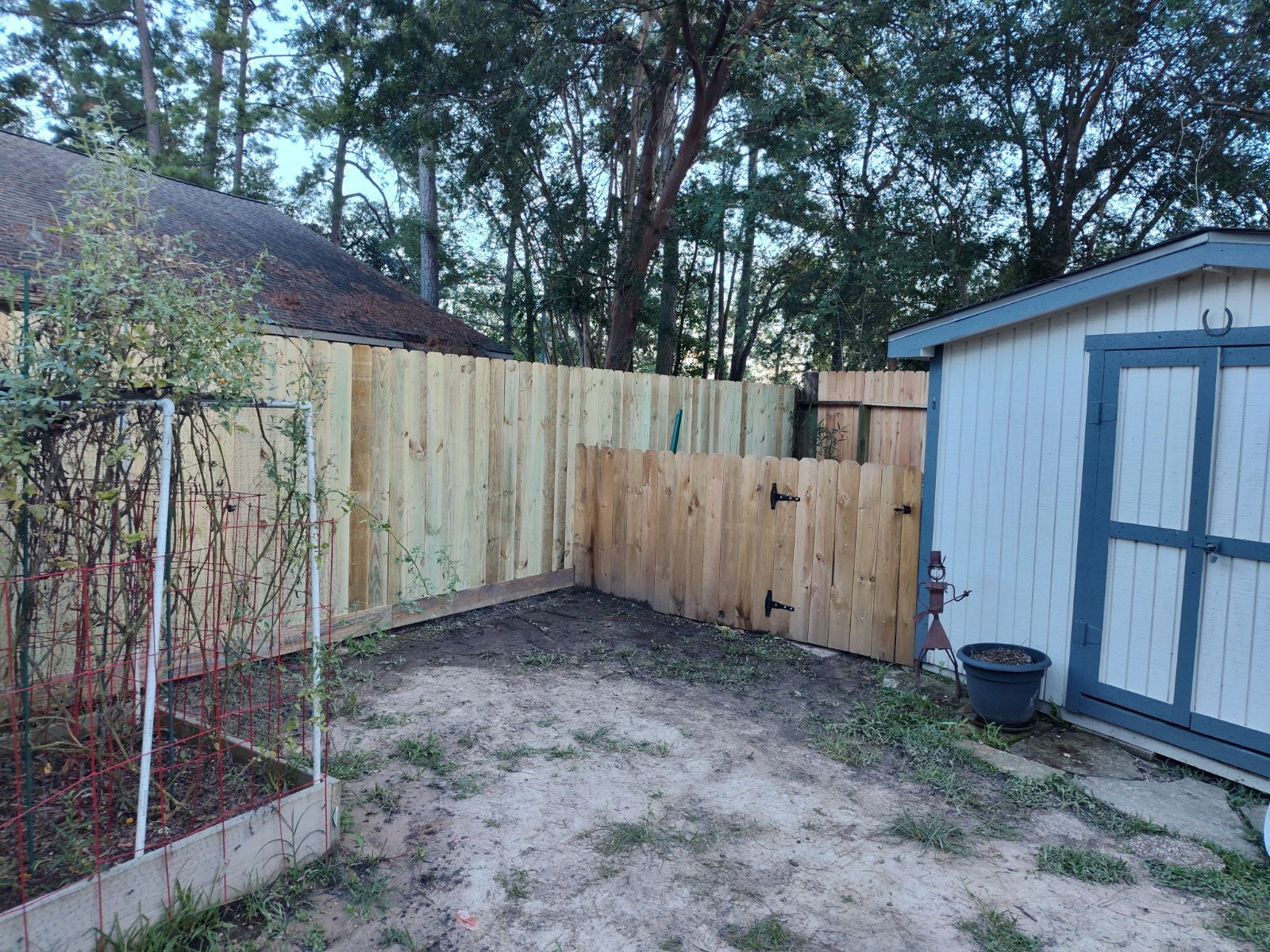 Small fenced backyard with dirt ground, wooden privacy fence, and a blue storage shed.