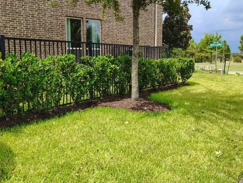 Brick house with black fence, trimmed hedges, and a green lawn under a sunny sky