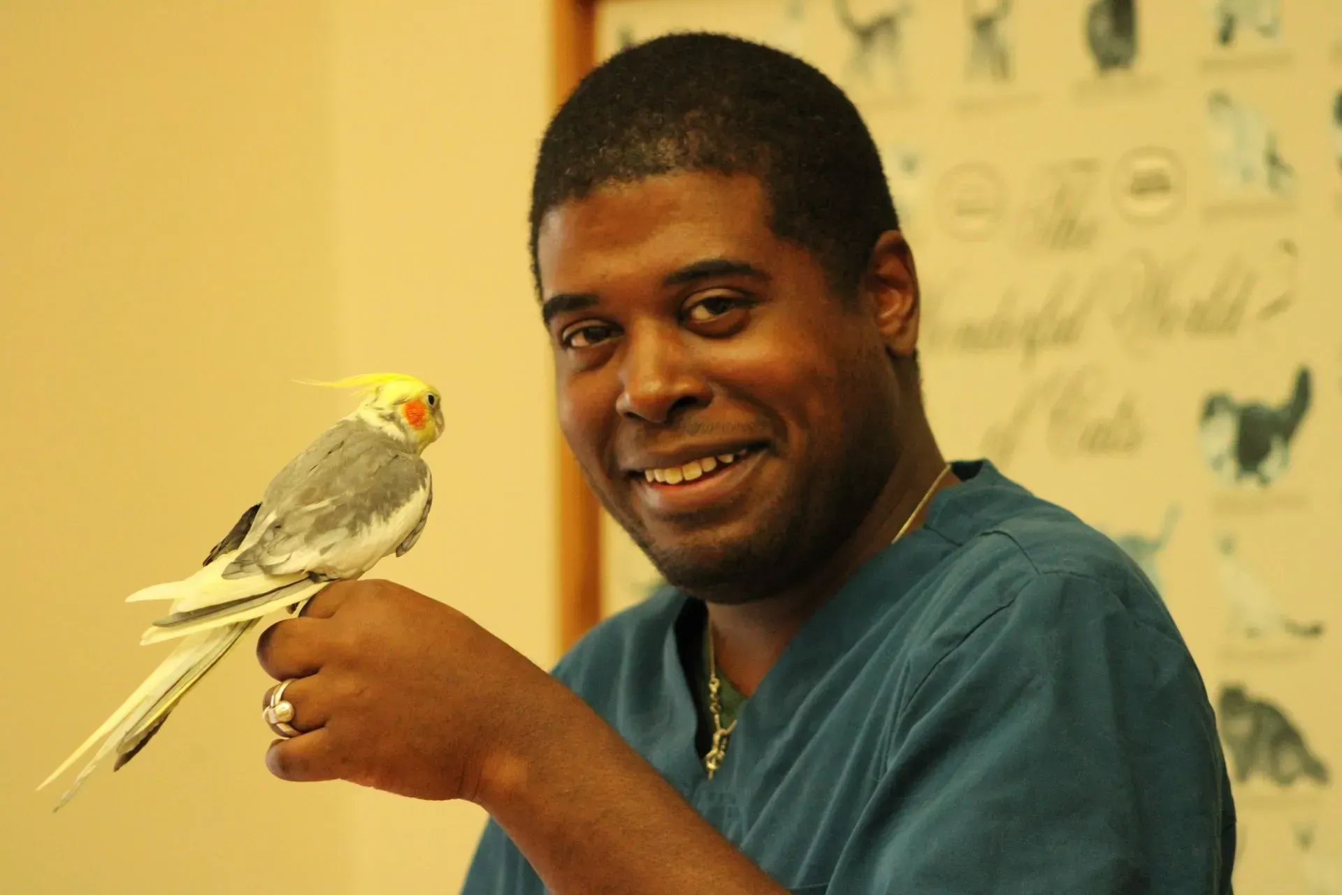 A man is holding a small bird in his hand and smiling