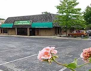 A building with a green awning and flowers in front of it