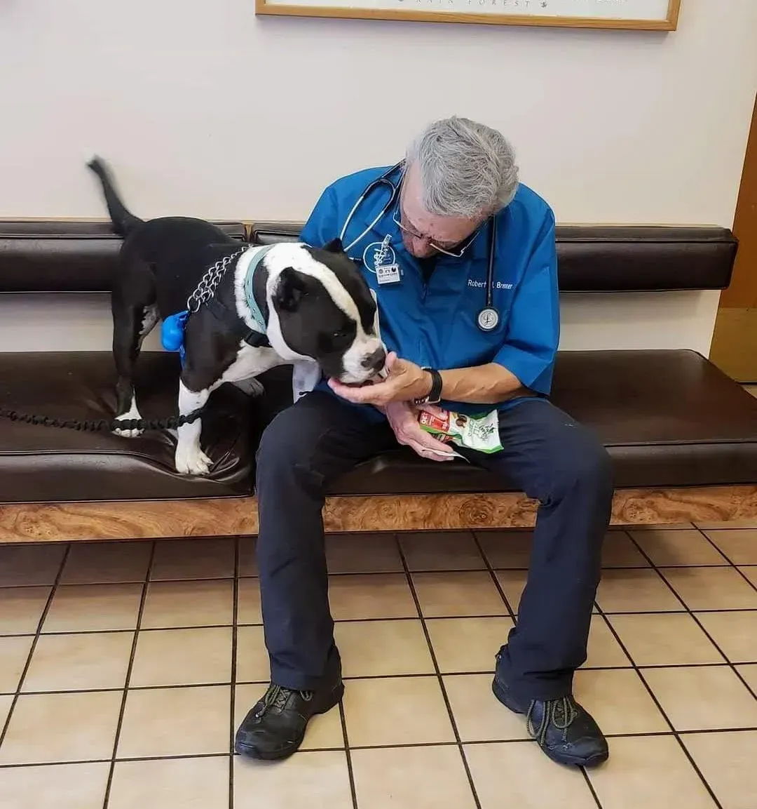 A man in a blue shirt is sitting on a couch with a dog