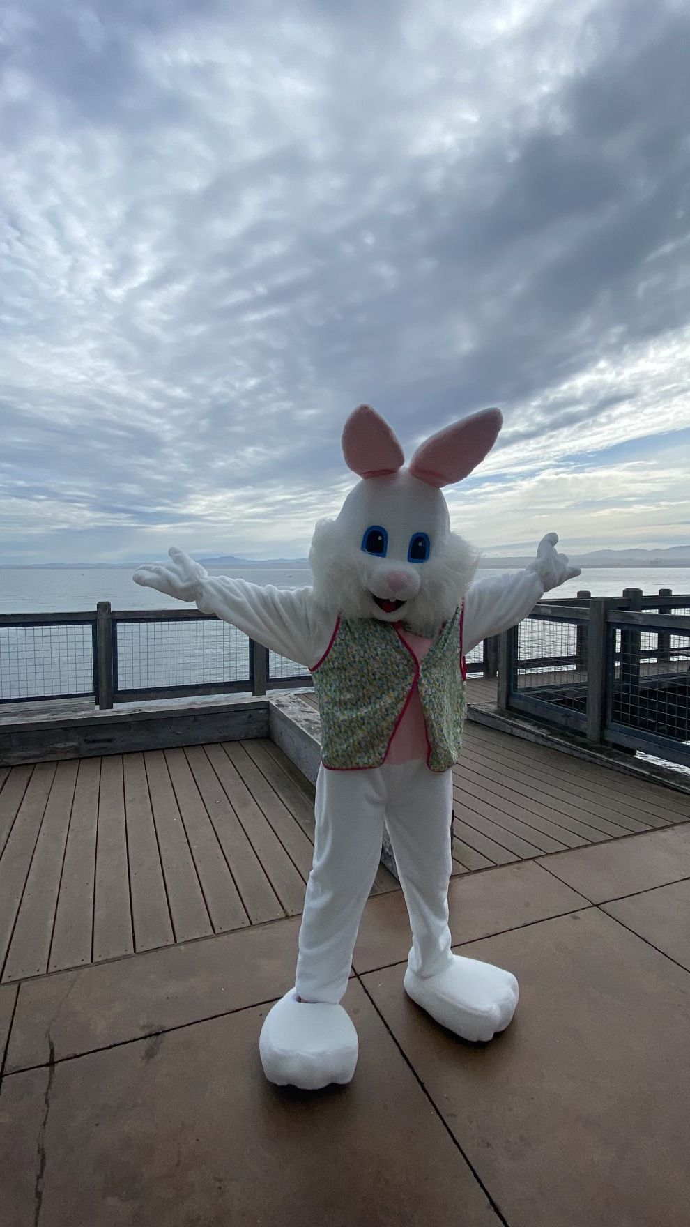 Bella the Easter Bunny