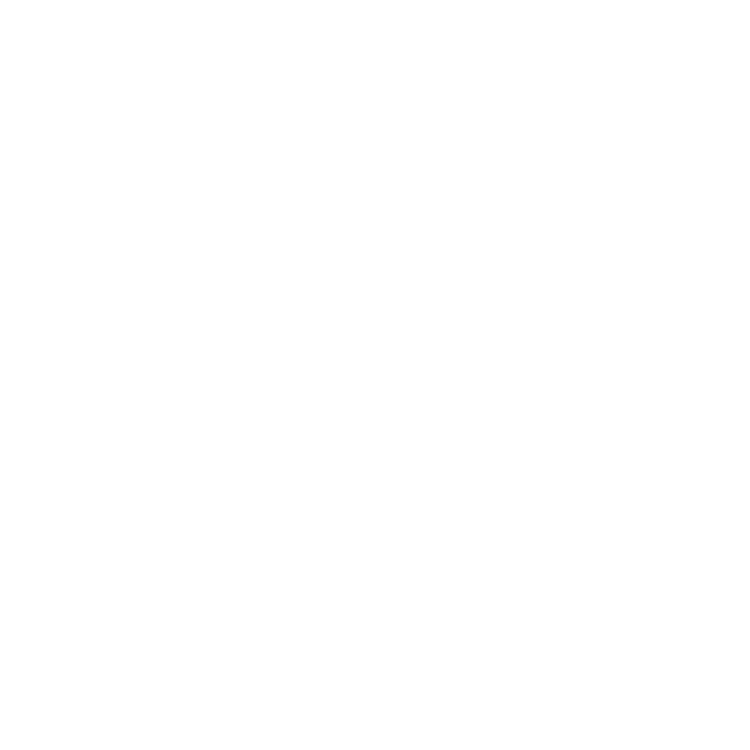 Paint The Town Proud logo