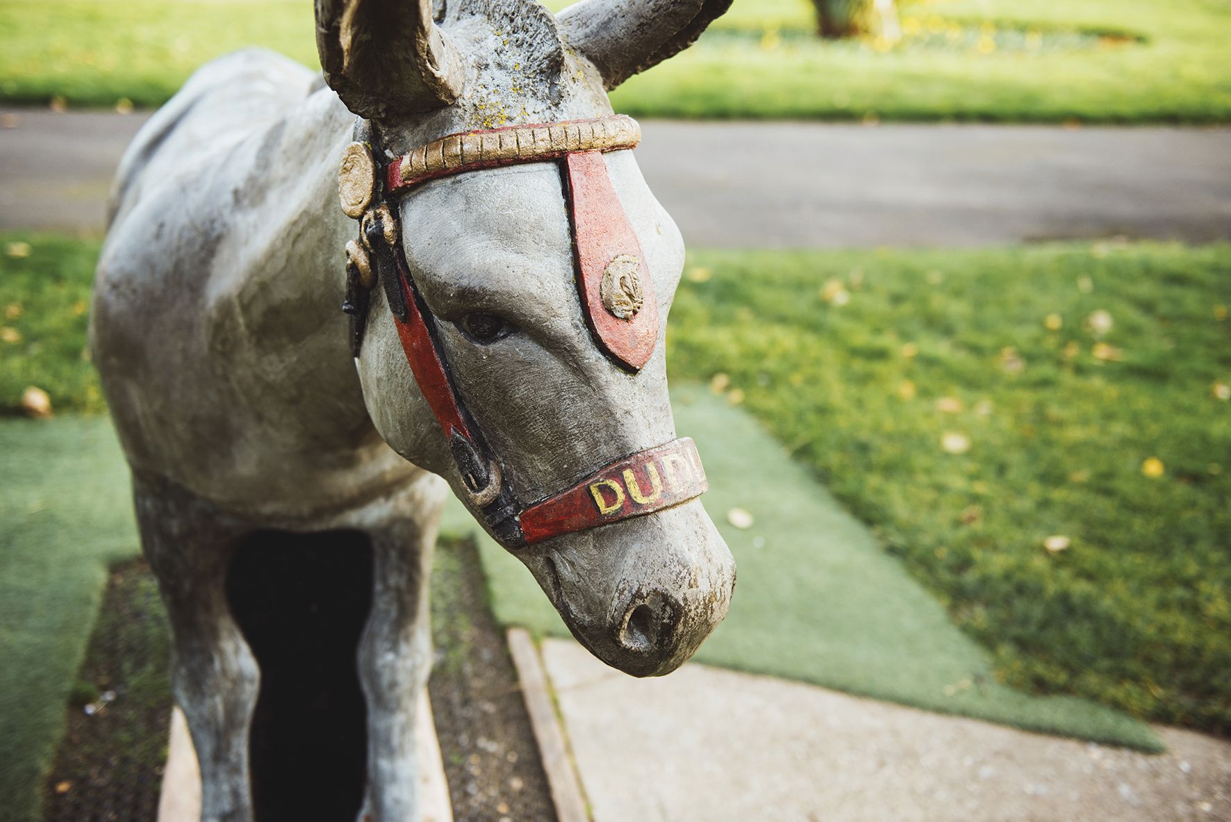 A statue of a donkey with a bridle is standing on a sidewalk.
