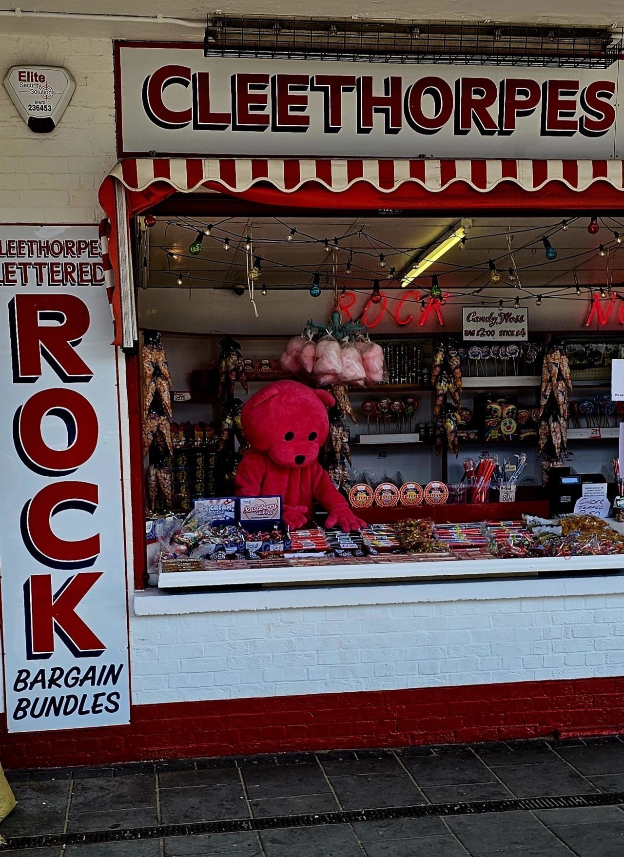 A red teddy bear stands in front of a store called cleethorpes