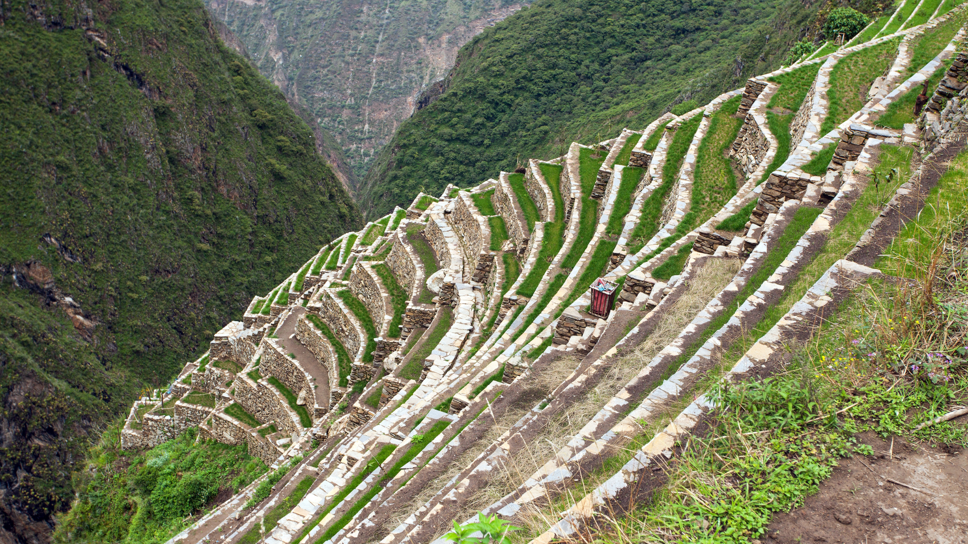 Amazing Terraces Amazing Terraces