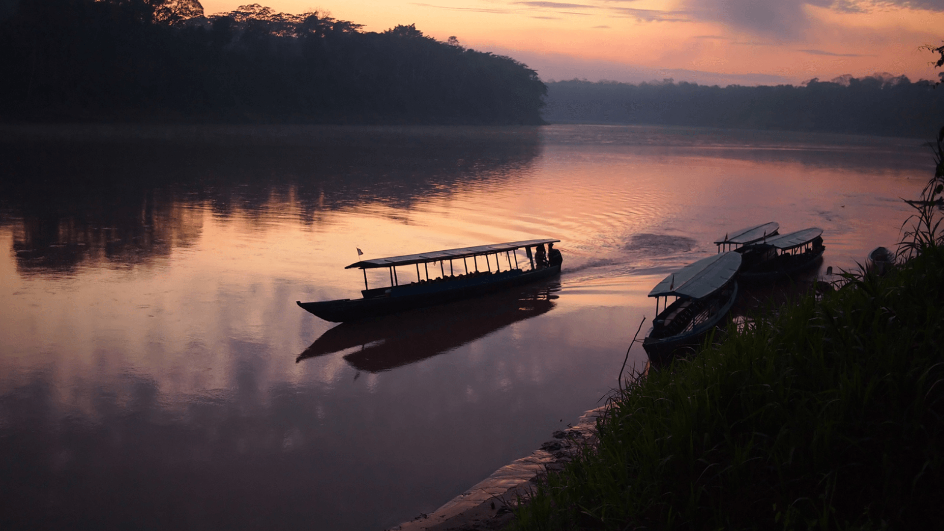 Amazon Rainforest Amazon Rainforest