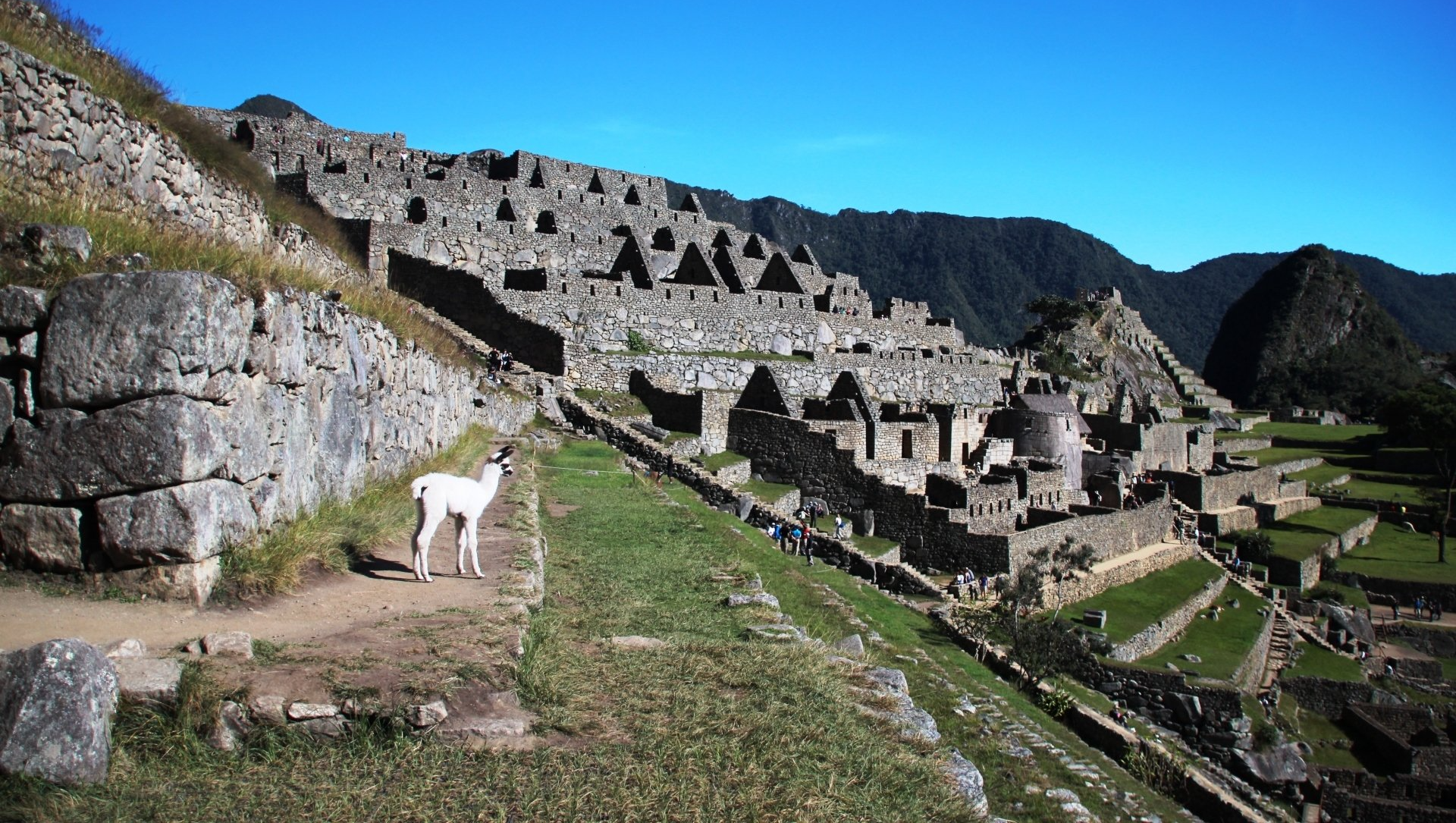 Machupicchu