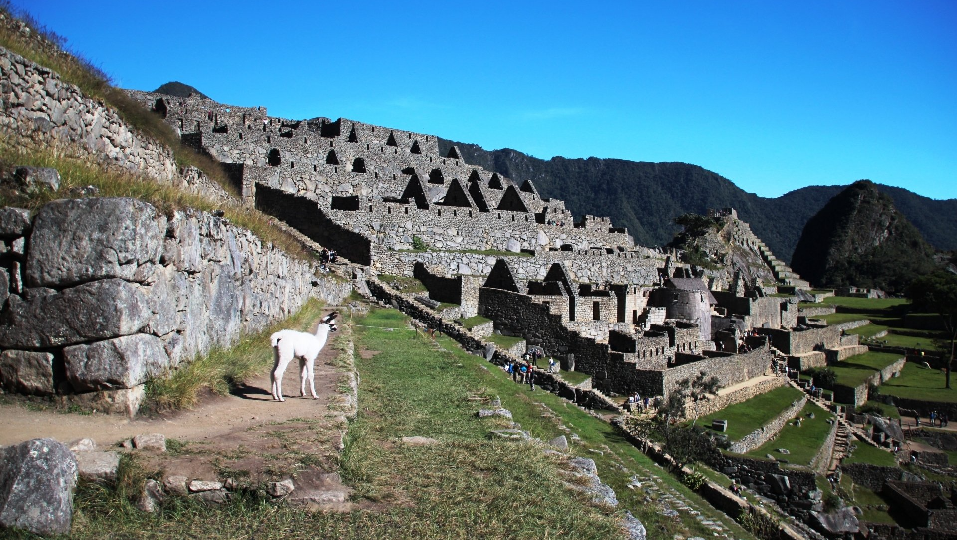 Machupicchu