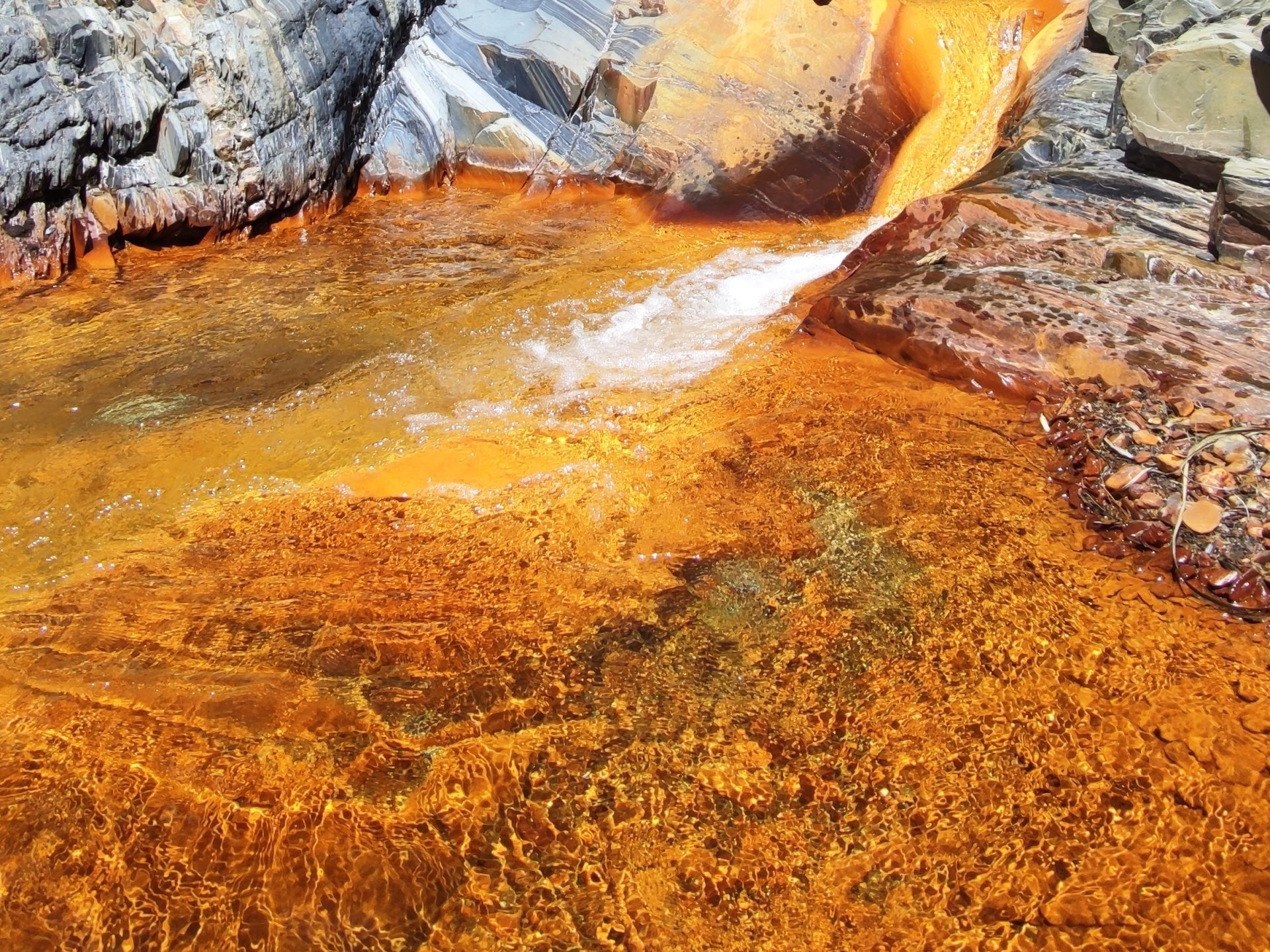 Golden Pool