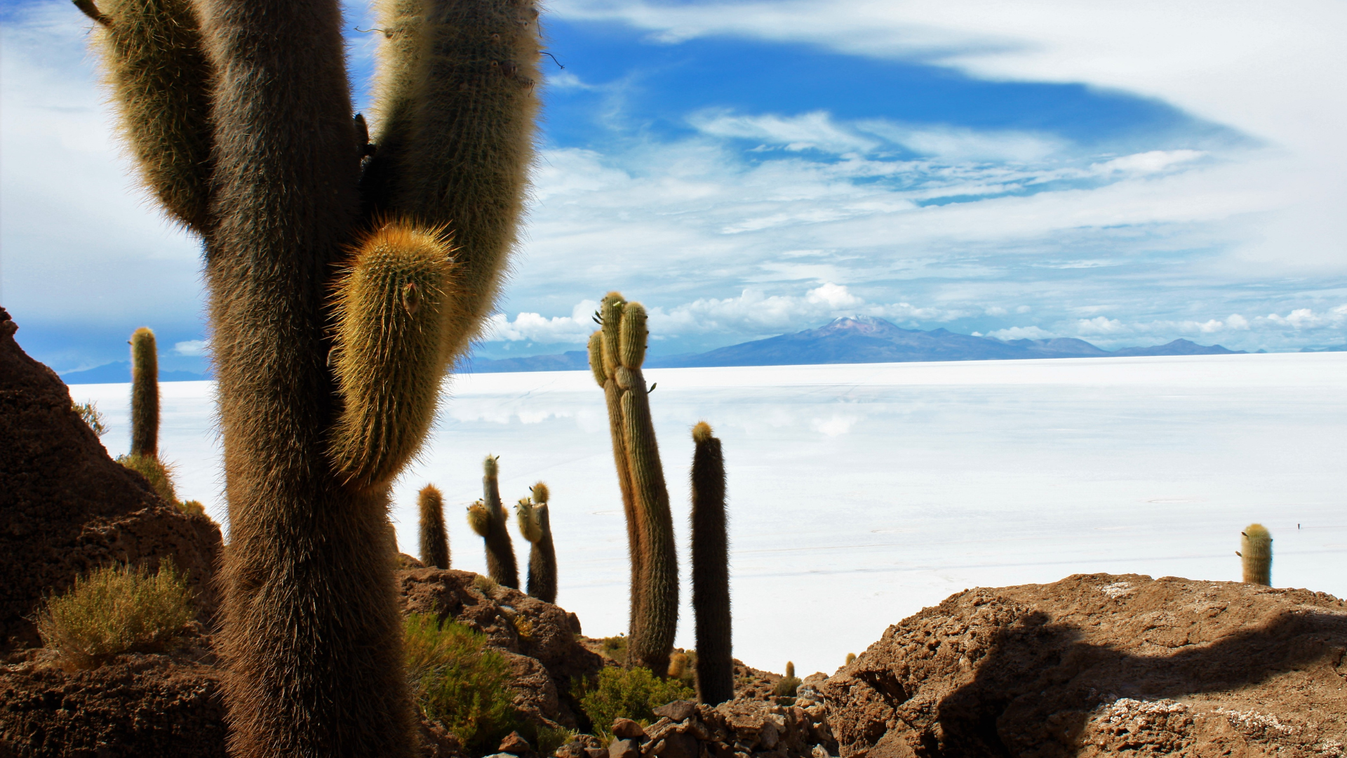 Incahuasi Island: Uyuni Salt Flats Incahuasi Island: Uyuni Salt Flats