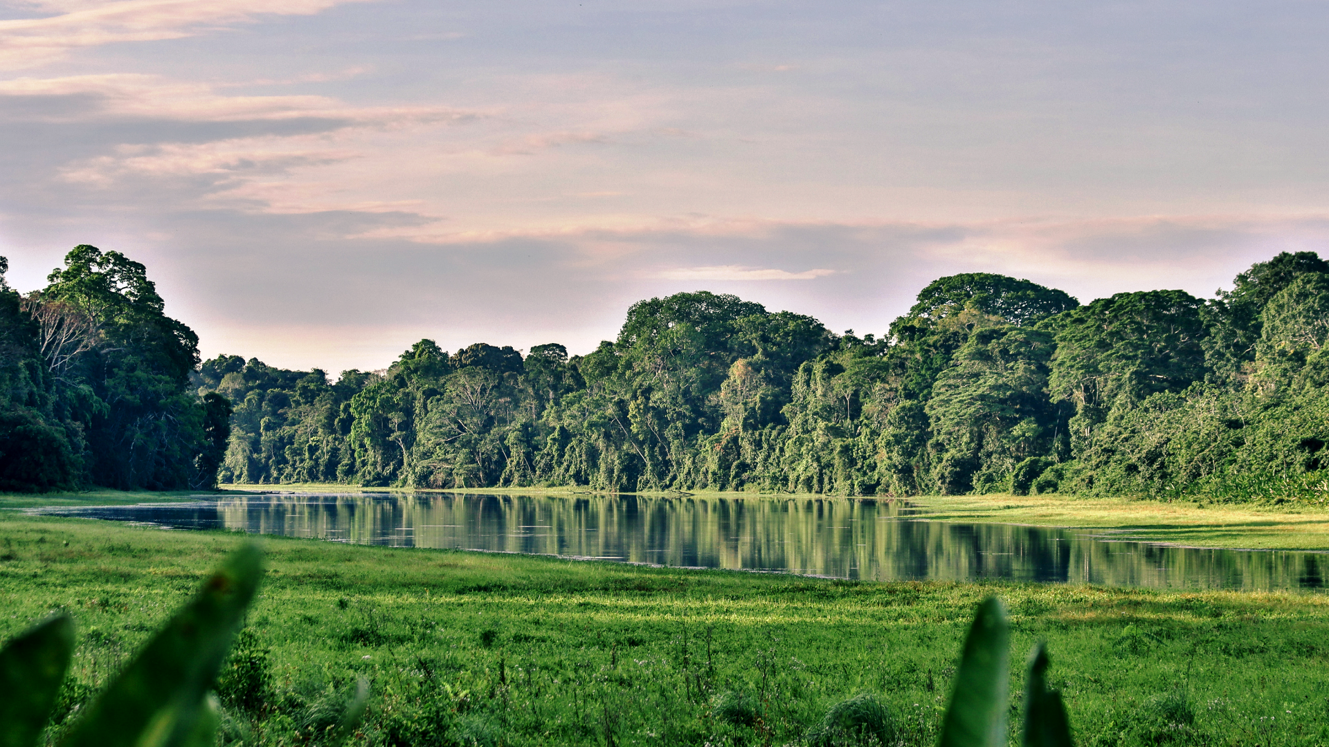 Oxbow Lake Oxbow Lake