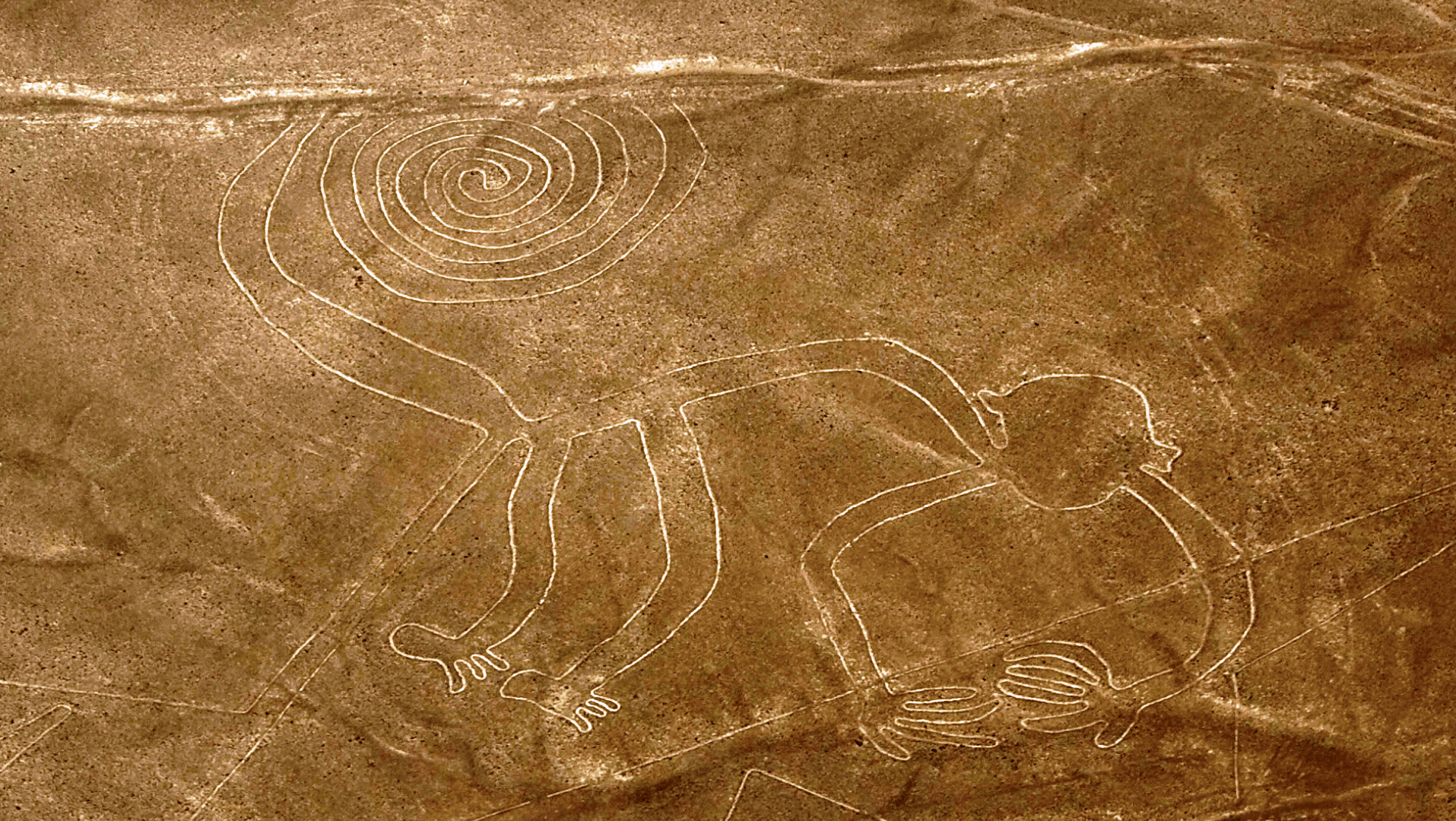 The Nazca Lines