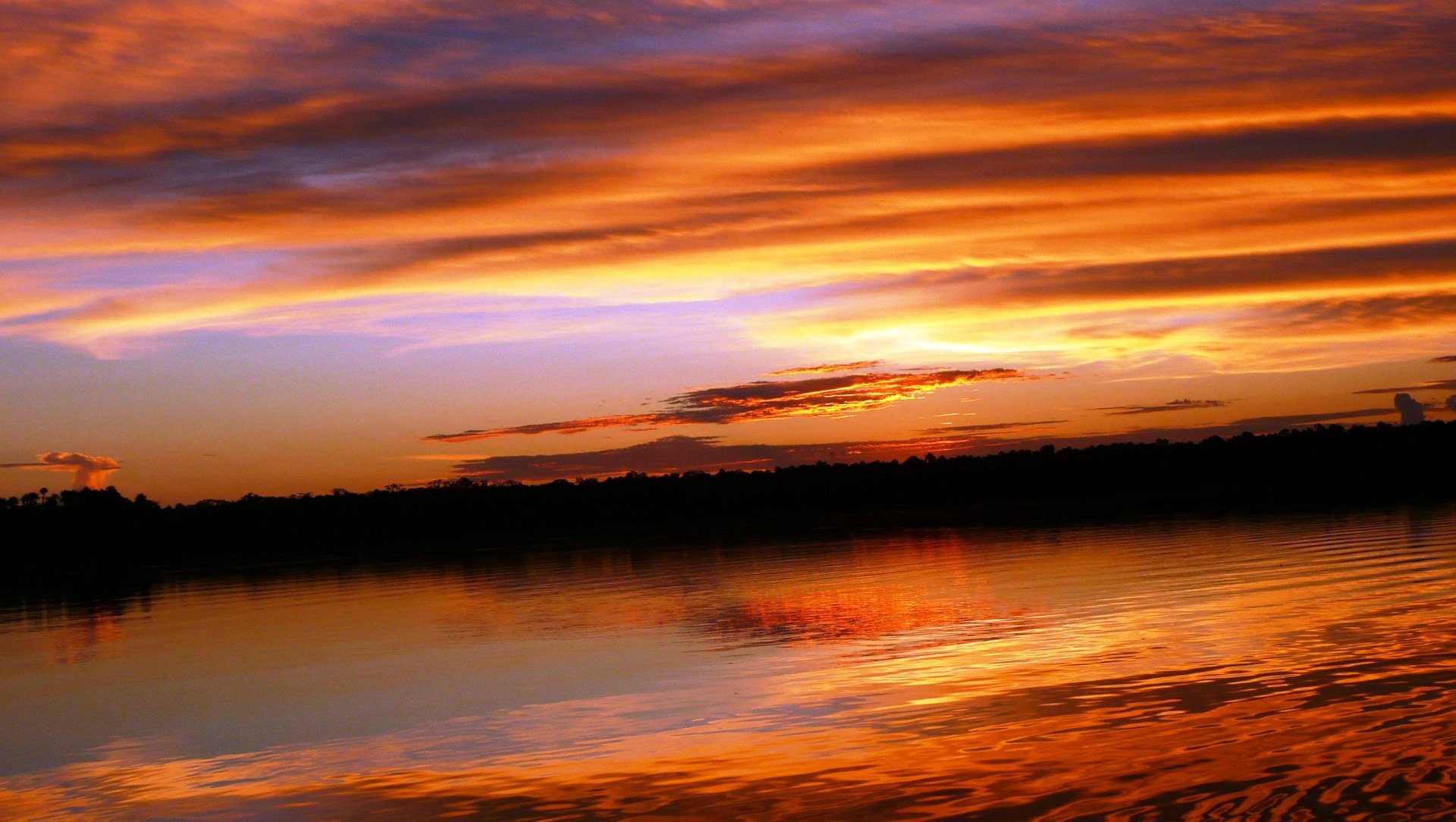 Amazon Sunset