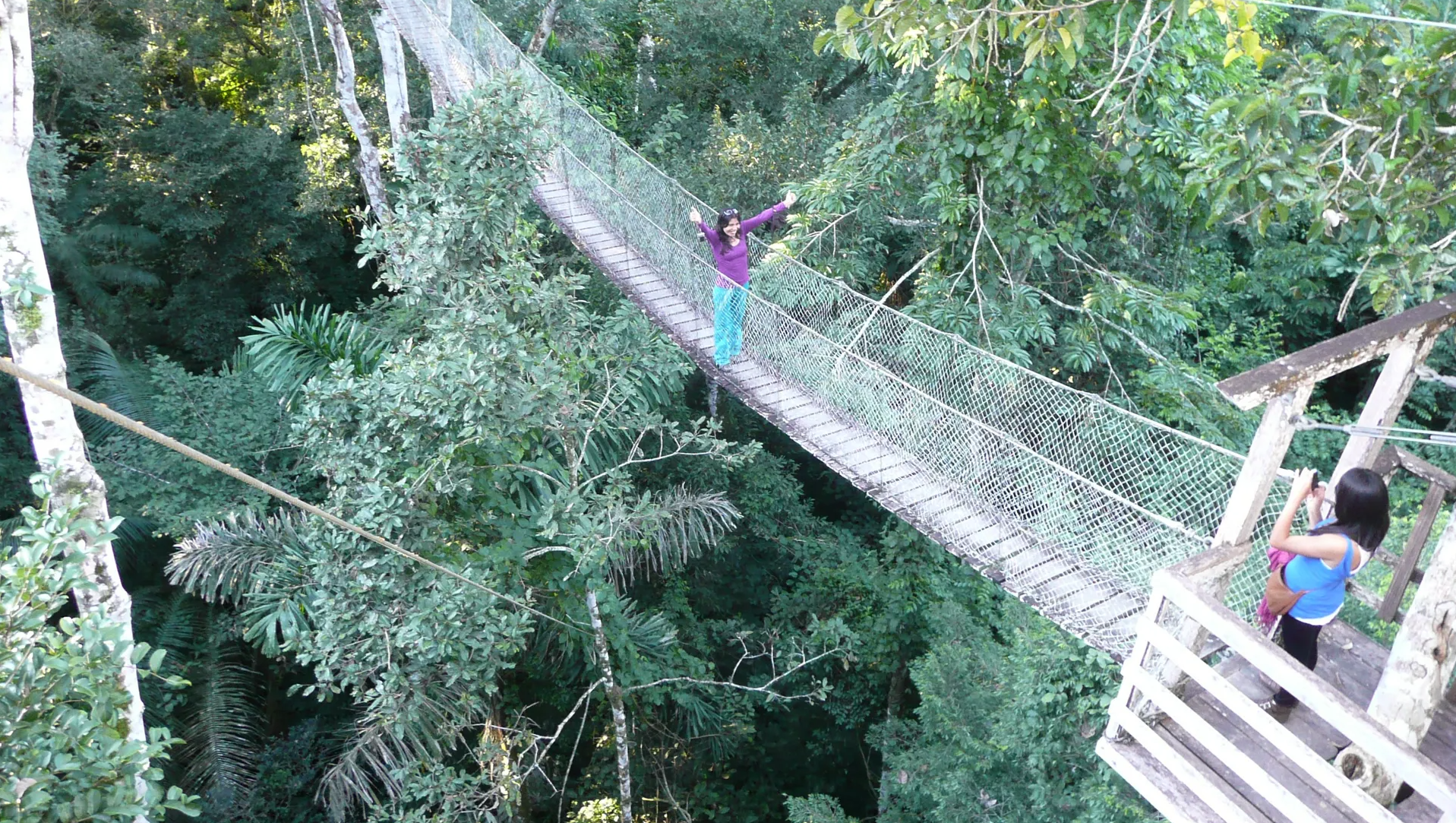 Canopy Walk
