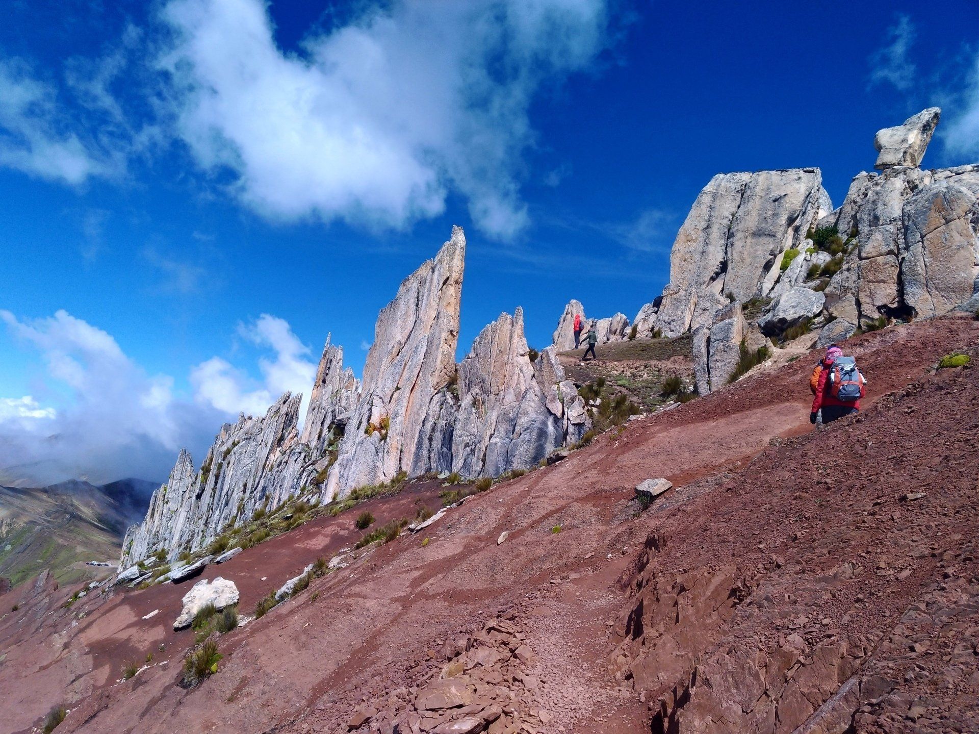 Bosque de Piedras Palcoyo