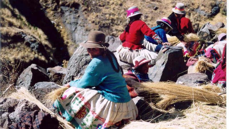 Qeswachaca Inca Bridge