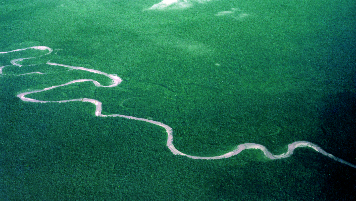 Amazon Rainforest