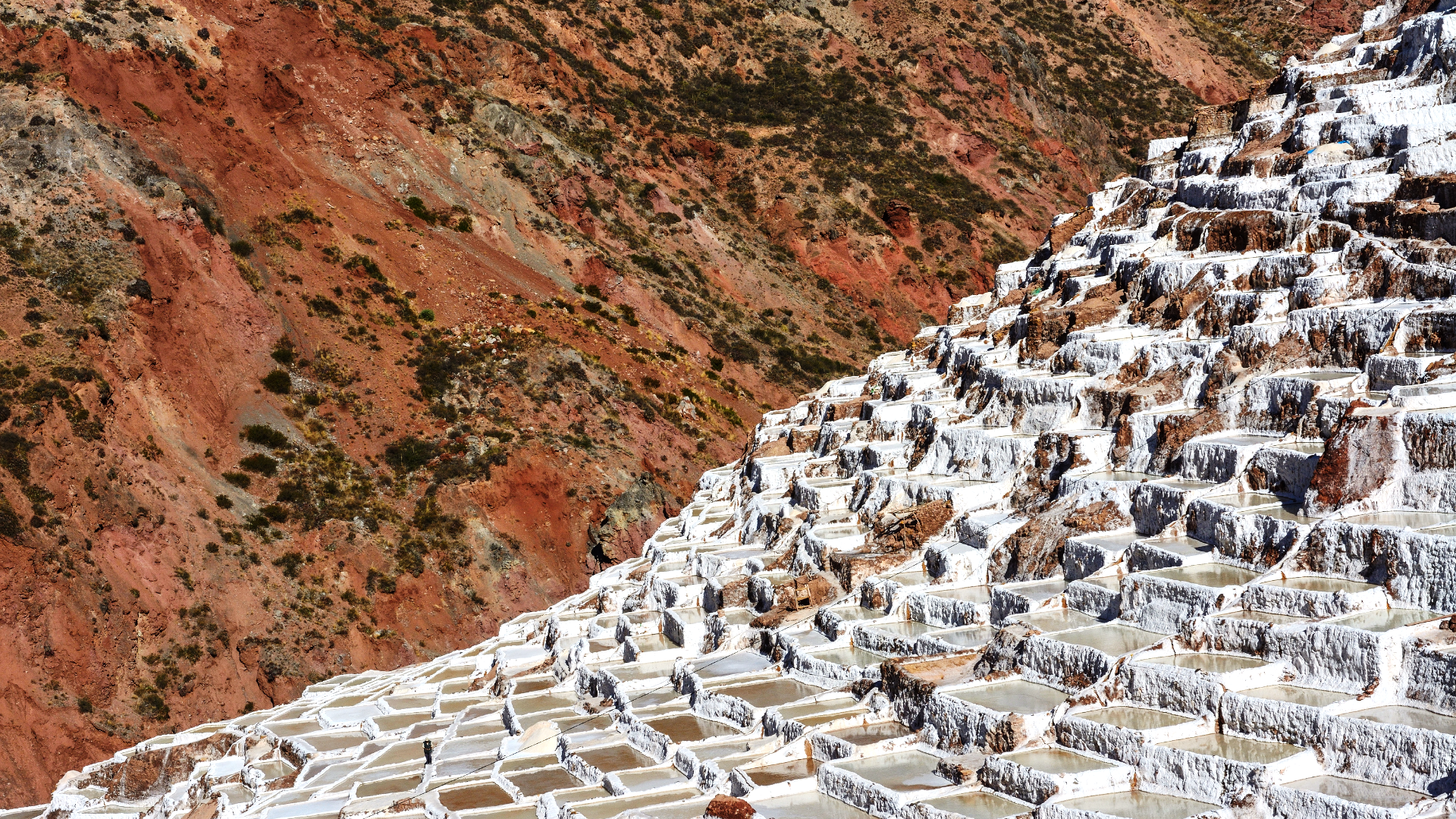 The Salt Mines