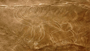 The Nazca Lines the Monkey