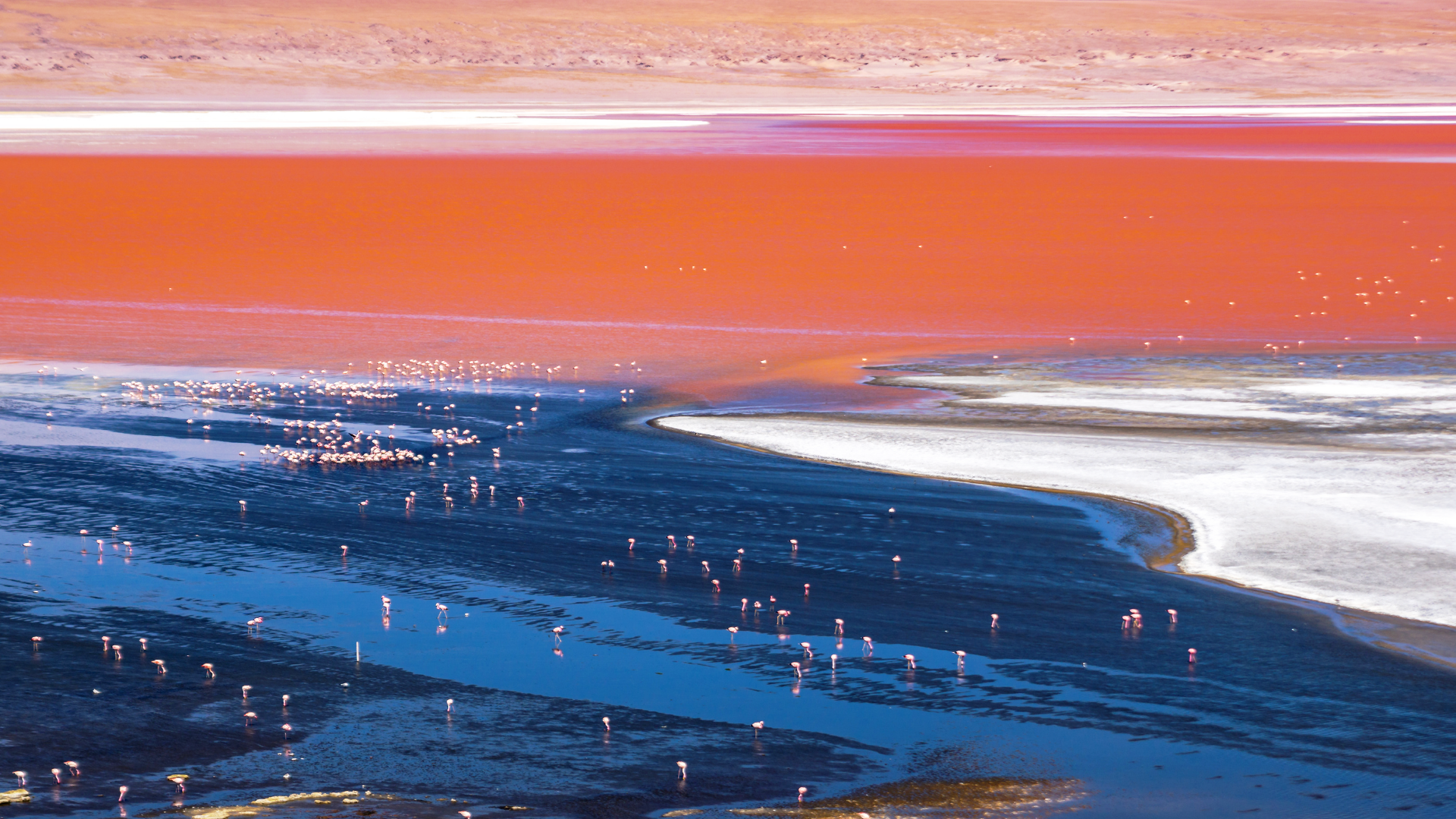 Red Lagoon