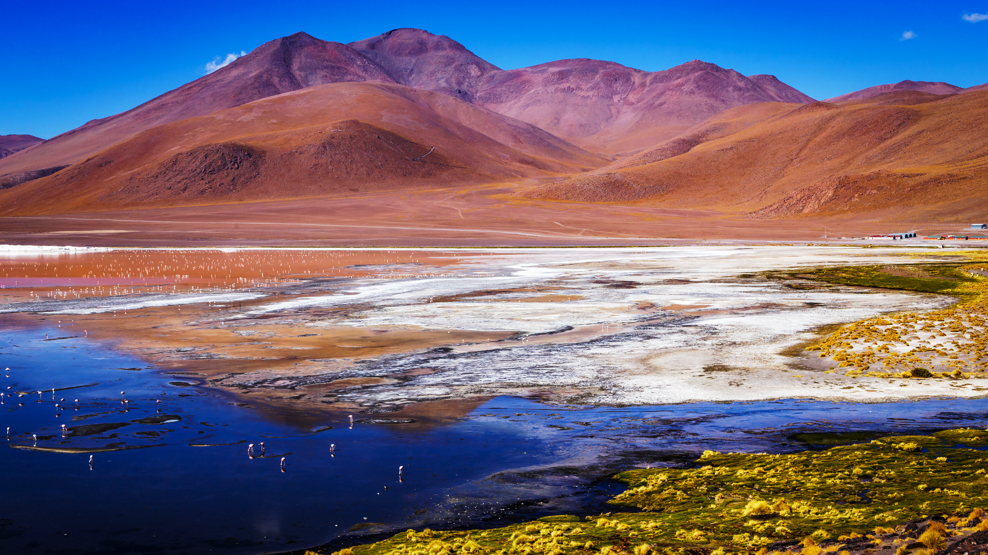 Laguna Colorada