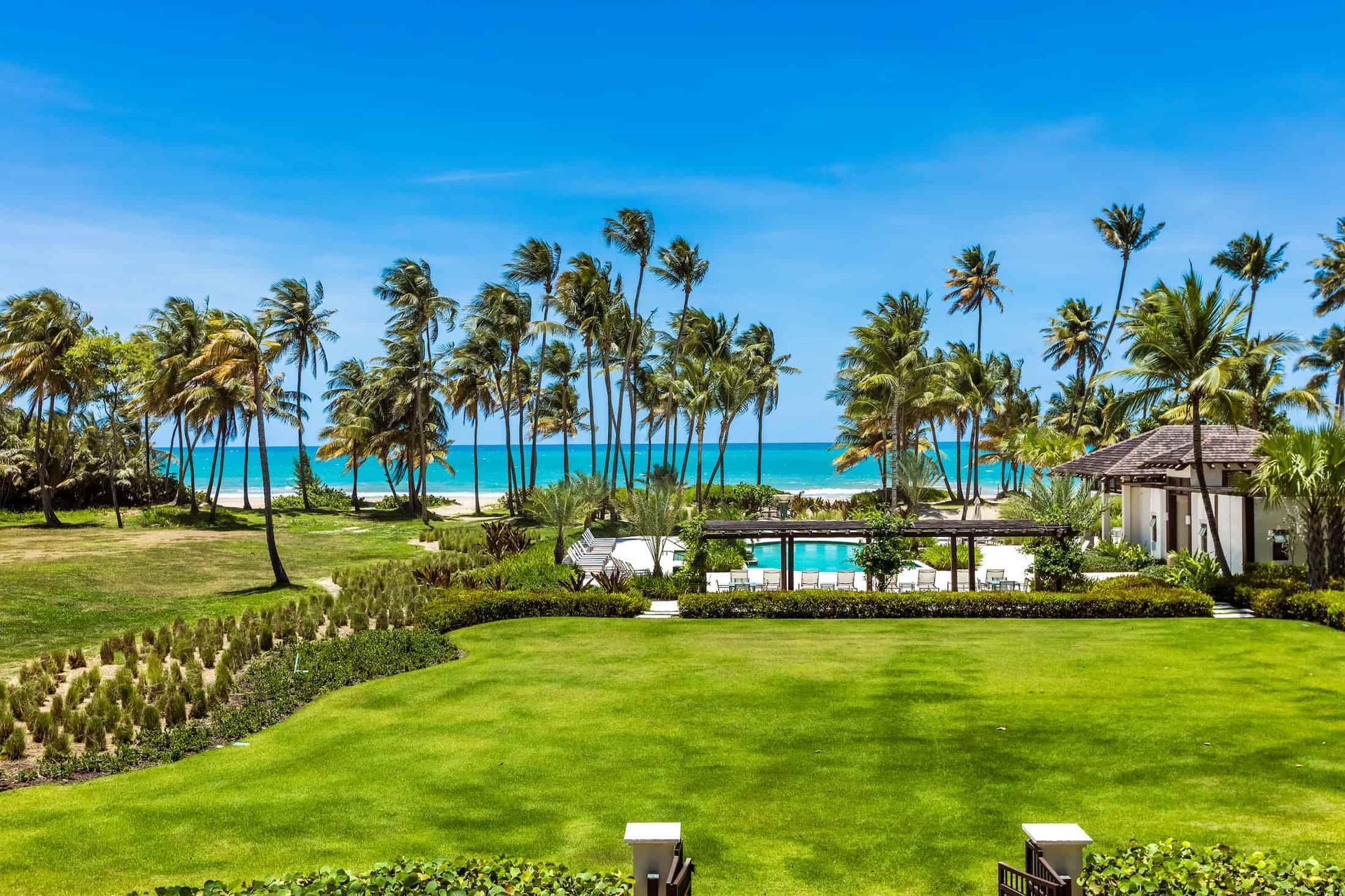 Lush tropical resort lawn with palm trees, pool, and turquoise ocean under a clear blue sky