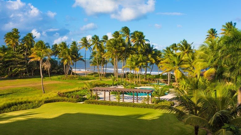 Tropical resort garden with palm trees, green lawn, and a pool overlooking the ocean under a sunny sky