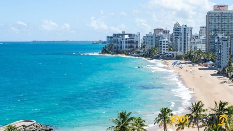 Turquoise bay with sandy beach, palm trees, and high-rise buildings along the shoreline