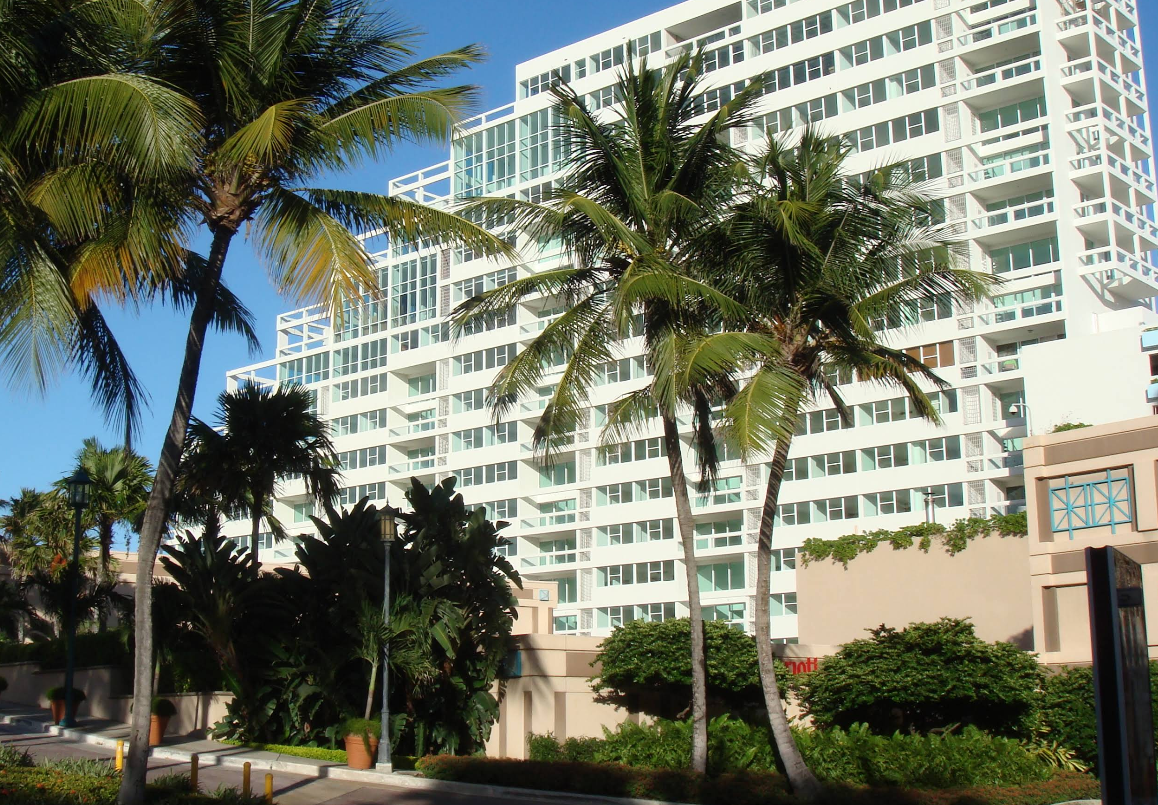 Palm trees in front of a white high-rise hotel under a blue sky.