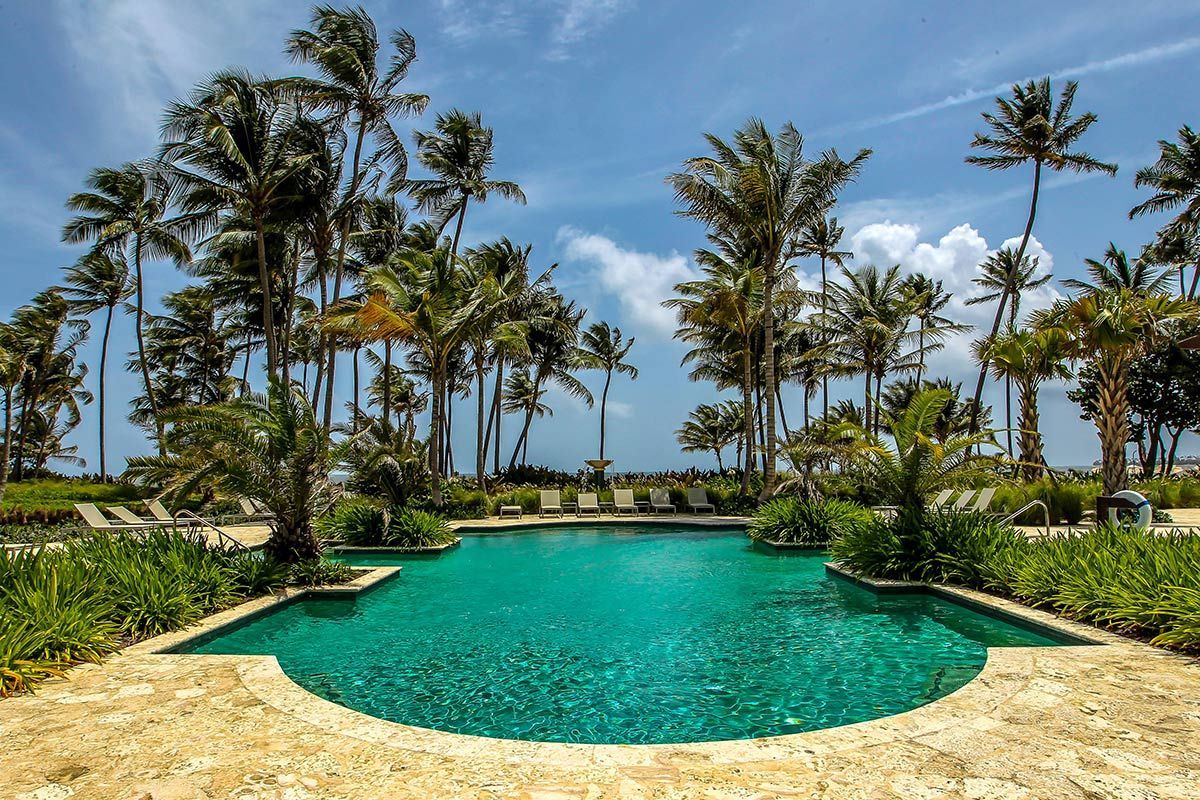 Tropical resort pool with turquoise water, palm trees, and a bright blue sky.