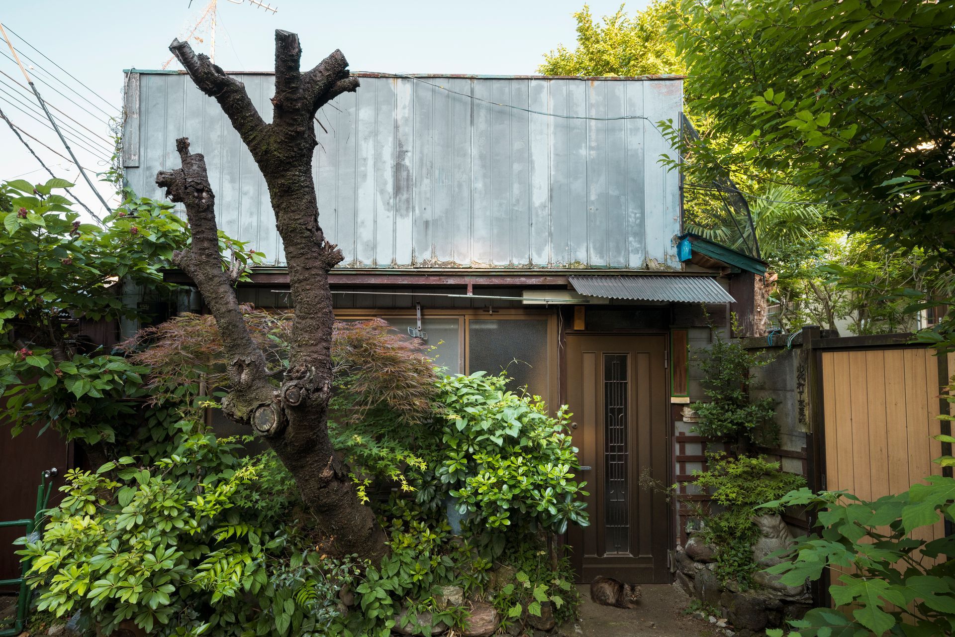 A small house with a metal upper facade, surrounded by lush greenery and a pruned tree in front.
