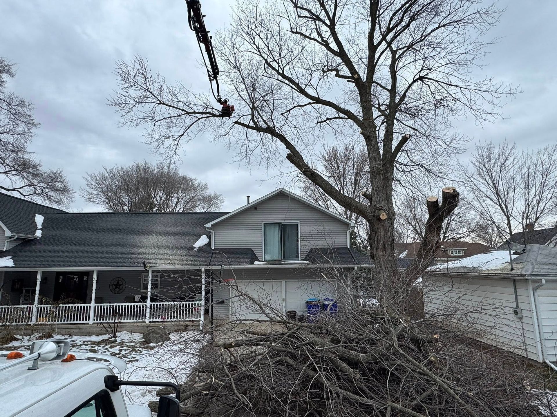Tree being trimmed near a house; branches and debris in the foreground. Overcast sky.