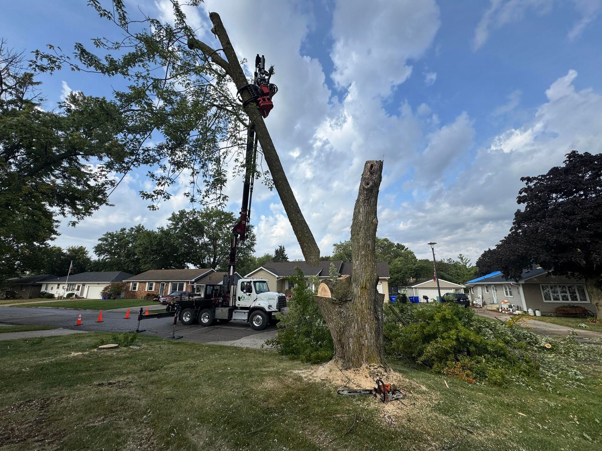 Truck with lift cutting a tree in a residential yard. Blue sky, homes in background.