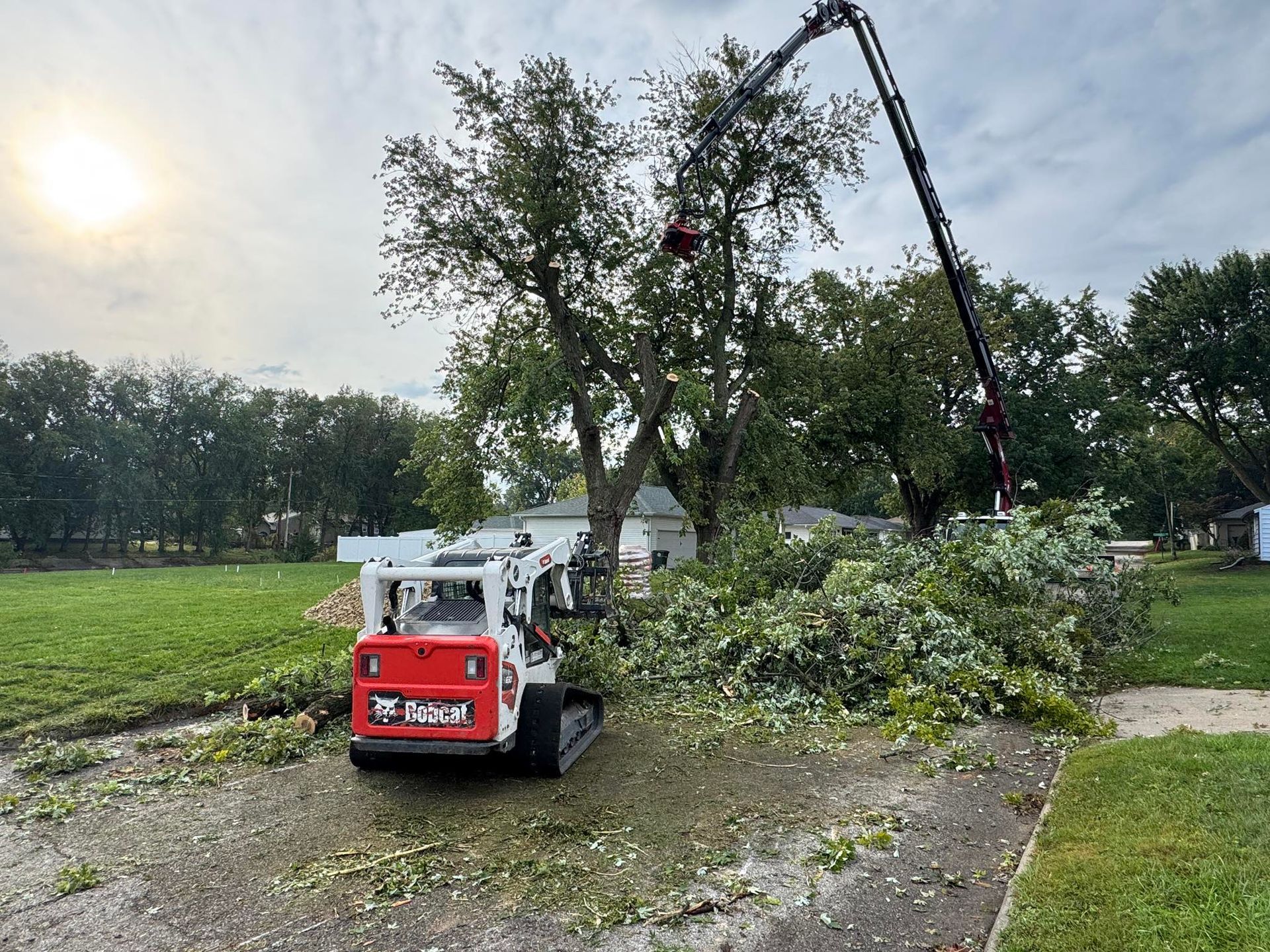 Bobcat skid steer removing tree branches. Yard, house in background.