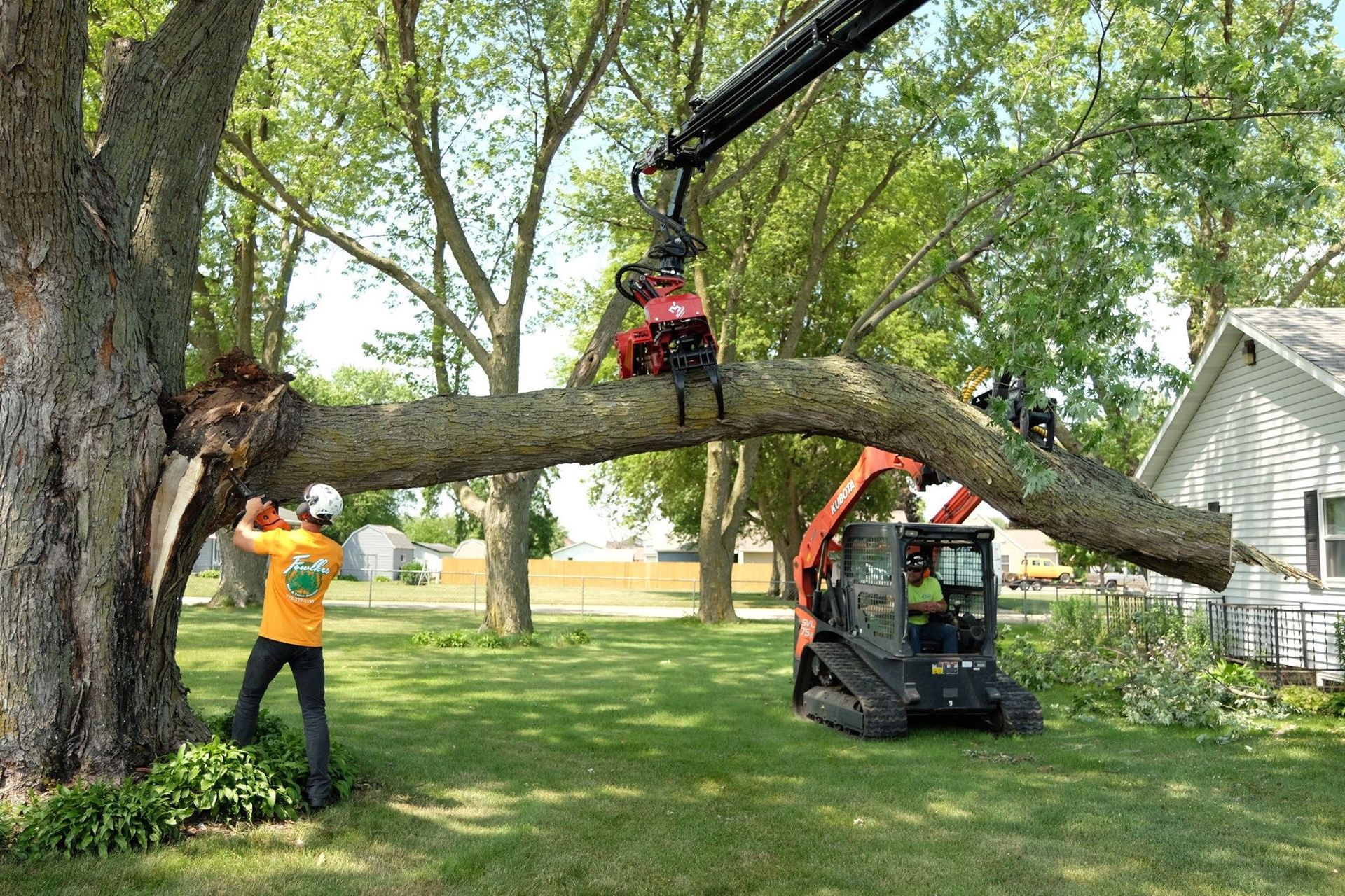 A man is standing next to a tree that has been cut down by a crane.