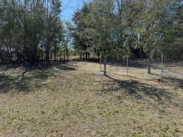 Grassy clearing with scattered trees casting long shadows under a bright sky