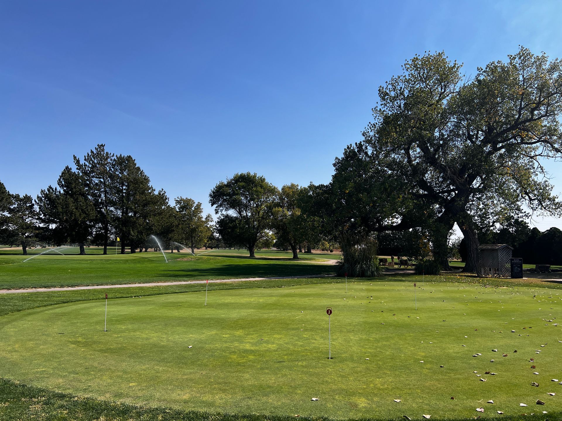 A golf course with trees and a blue sky in the background