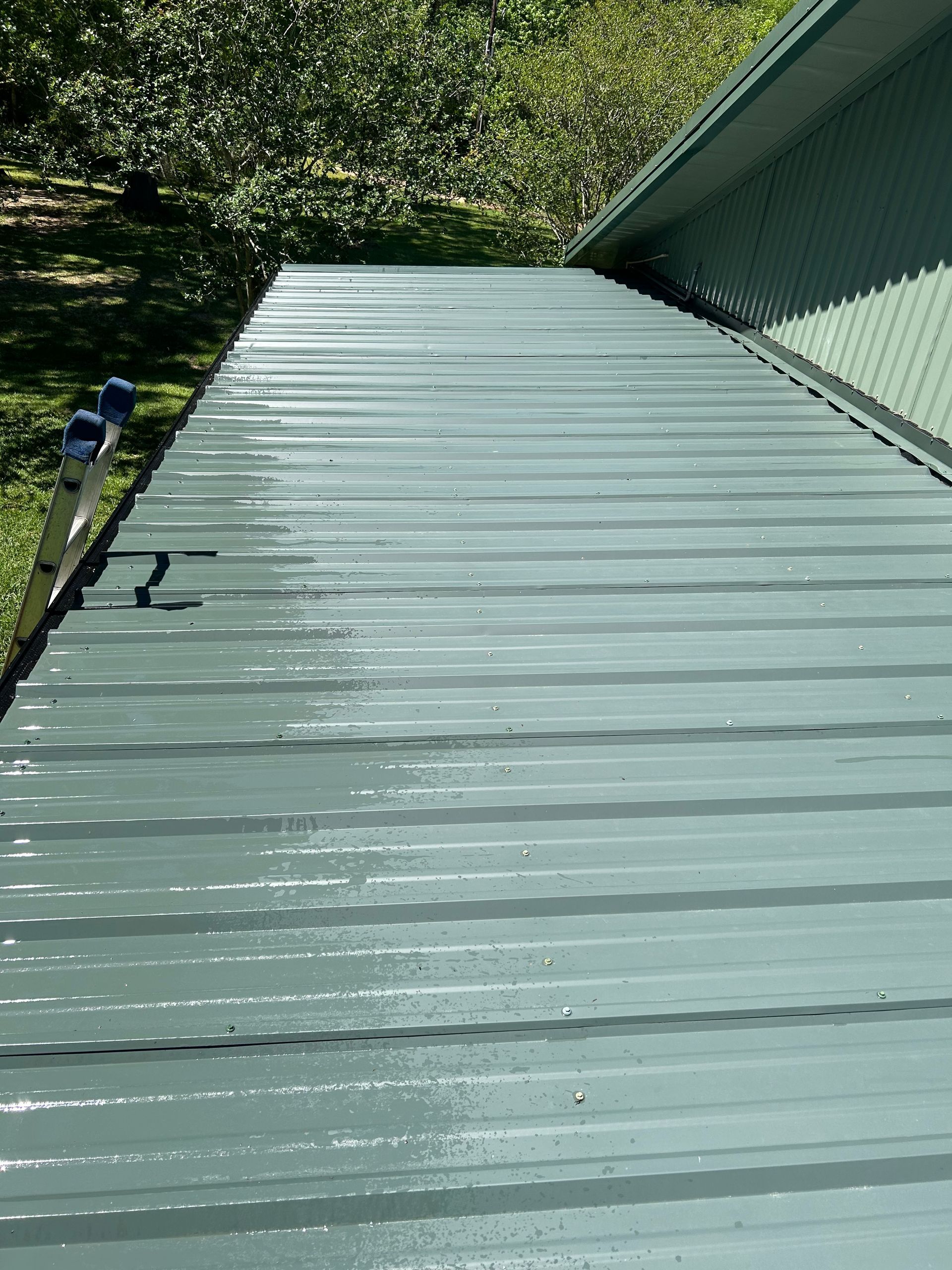 Green metal roof with trees in the background and a blue object along the left edge