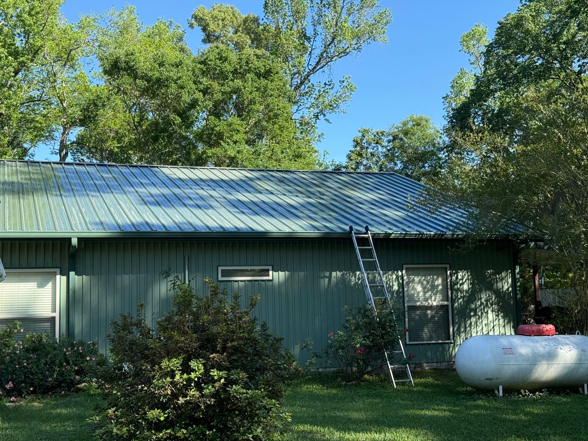 Green metal house with trees, a ladder on the roof, and a white propane tank in the yard