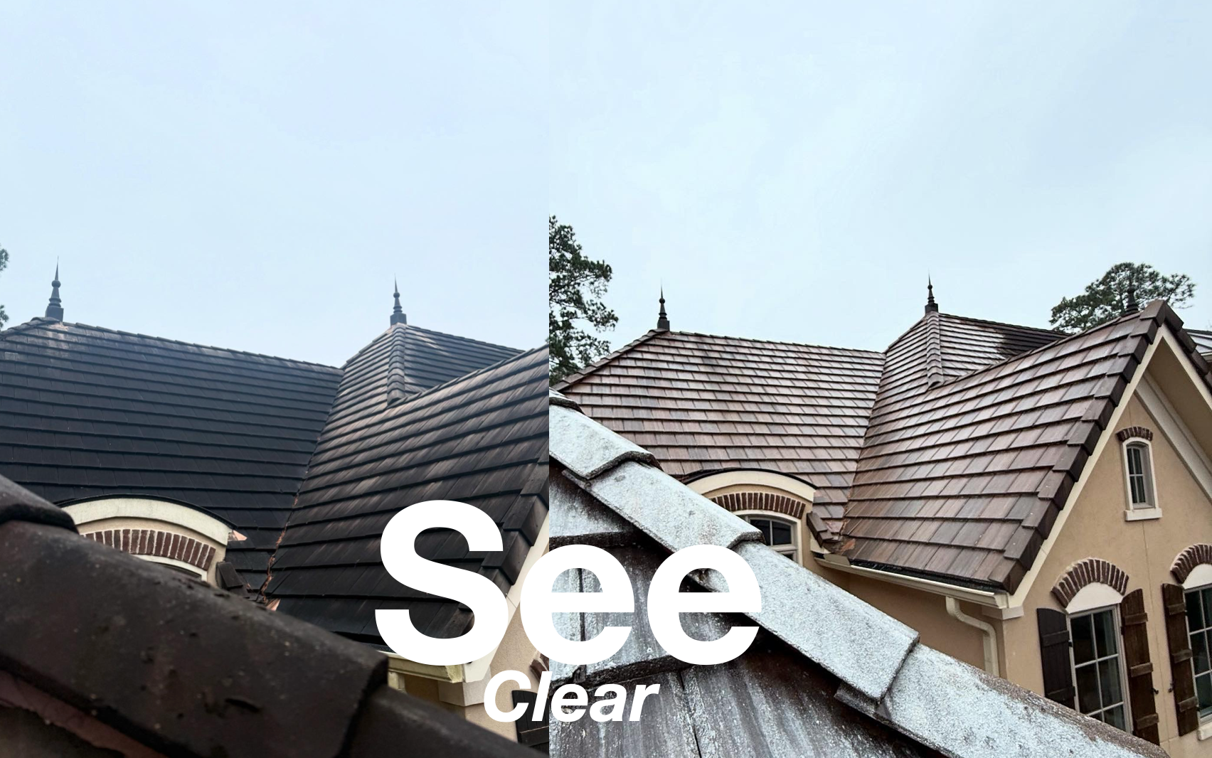Split-view roof before and after cleaning, with bold “See” text over the center.