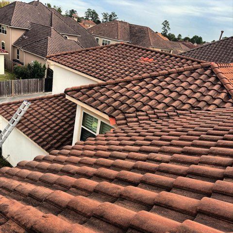 Tile rooftops of suburban houses viewed from above, with a ladder leaning against one roof