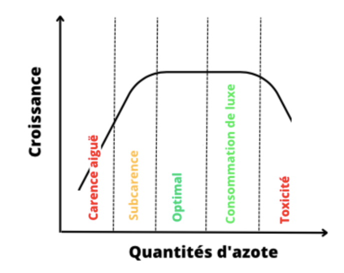 Courbe de croissance en réponse de la quantité d'azote disponible