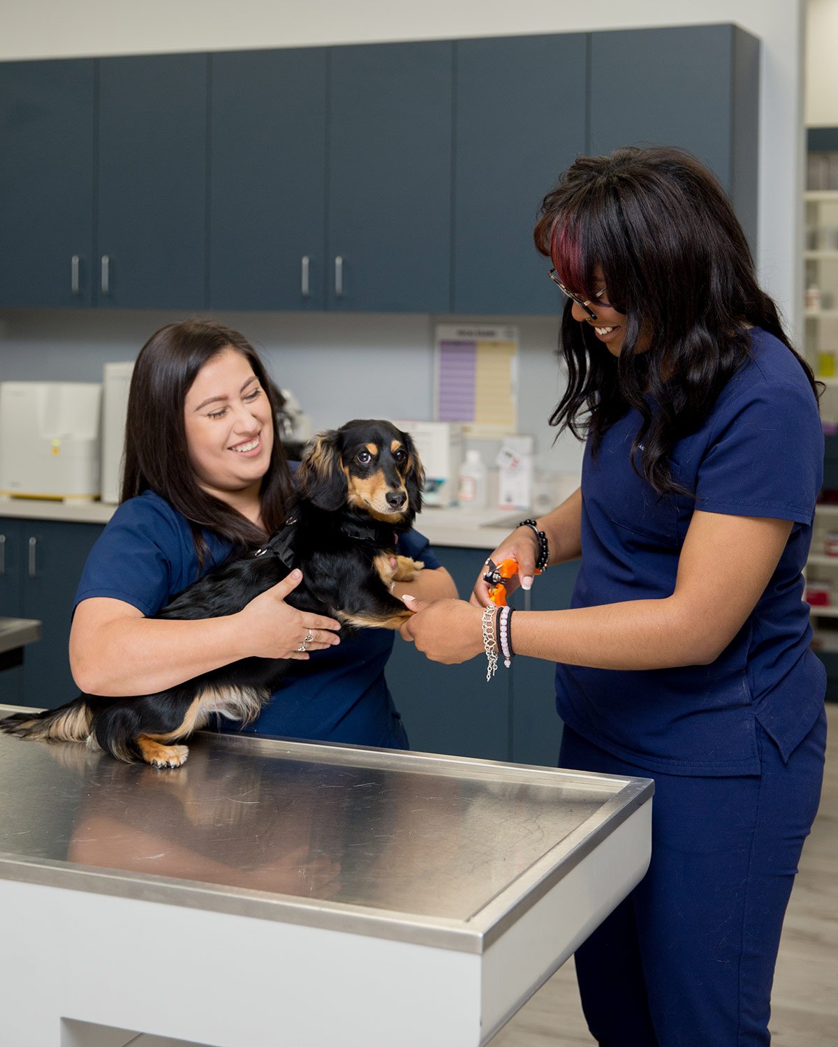 A Couple of Vets Spring & The Woodlands, TX Veterinary Clinic